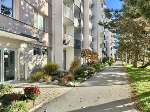 Pronájem bytu 2+1, Brno, Voříškova, 54 m2