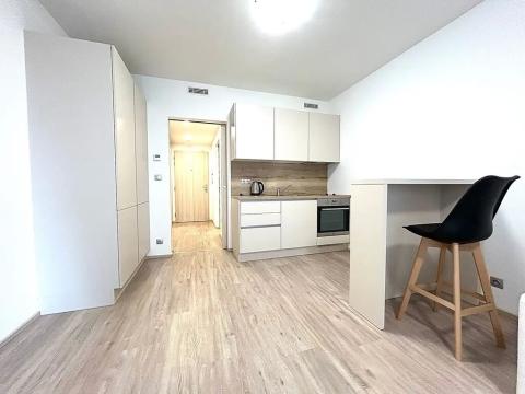 Pronájem bytu 1+kk, Praha - Libeň, Kurta Konráda, 39 m2