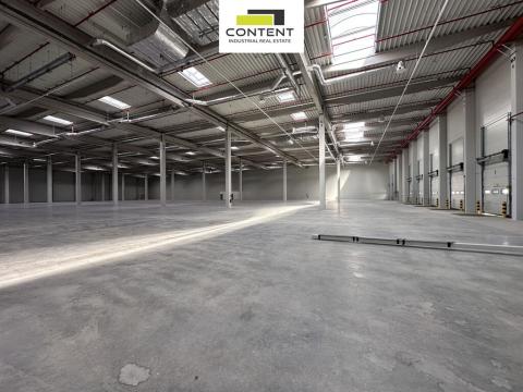 Pronájem výrobních prostor, Údlice, Droužkovická, 10000 m2