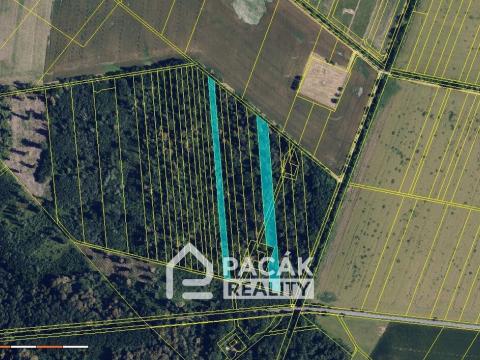 Prodej lesa, Pňovice, 10670 m2