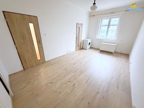 Pronájem bytu 1+kk, Praha - Nusle, Na Veselí, 29 m2