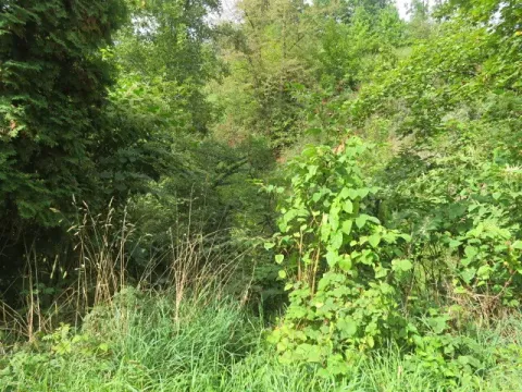 Dražba zahrady, Šemnice, 472 m2