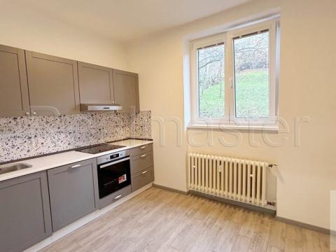 Pronájem bytu 2+1, Ústí nad Labem, Masarykova, 51 m2