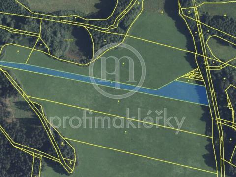 Prodej louky, Opatov, 5639 m2