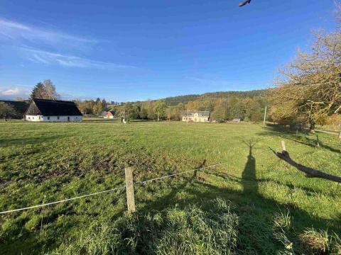 Prodej pozemku, Králíky - Horní Lipka, 18004 m2