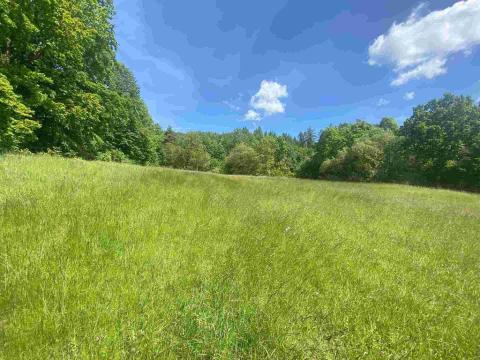 Prodej pole, Odry, 872 m2