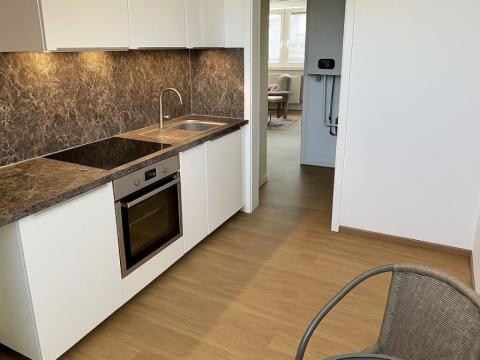 Pronájem bytu 1+1, Opava - Předměstí, Hobzíkova, 40 m2