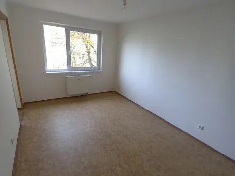 Pronájem bytu 2+1, Milovice, Braniborská, 45 m2