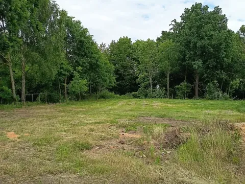 Pronájem pozemku, Zhoř, 4781 m2