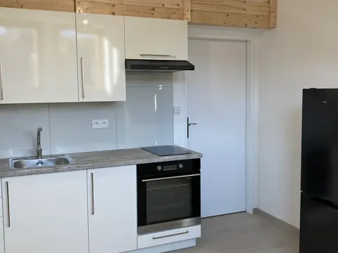 Pronájem bytu 1+kk, Praha - Košíře, Vrchlického, 20 m2