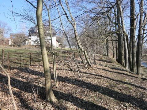 Prodej lesa, Raspenava, 656 m2