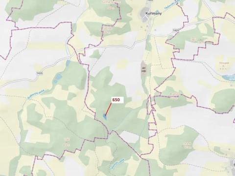 Dražba lesa, Kuřimany, 3688 m2