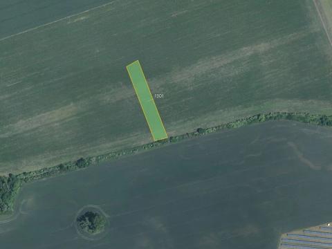 Prodej pole, Žeraviny, 3981 m2