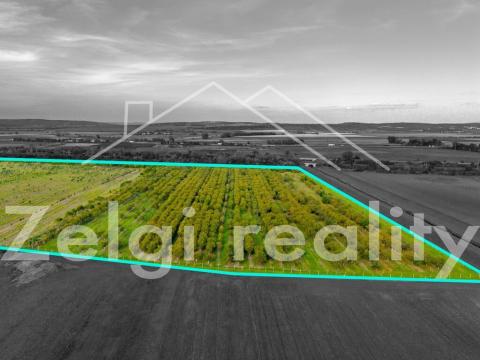 Prodej sadu/vinice, Rakvice, 210277 m2