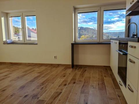 Pronájem bytu 2+kk, Brno - Žabovřesky, Horova, 51 m2