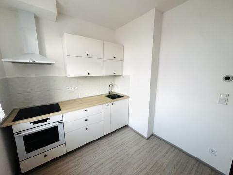 Prodej bytu 2+1, Břeclav, Riegrova, 54 m2