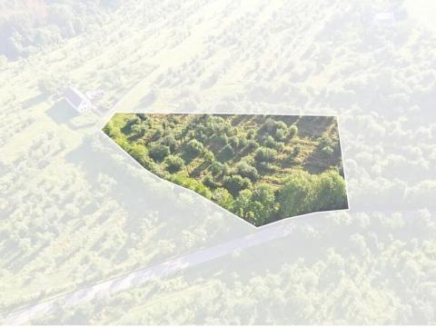 Prodej sadu/vinice, Troskovice, 8502 m2