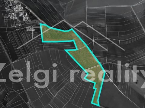 Prodej sadu/vinice, Kralupy nad Vltavou, 246558 m2