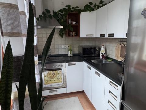 Pronájem bytu 2+kk, Praha, Pickova, 64 m2