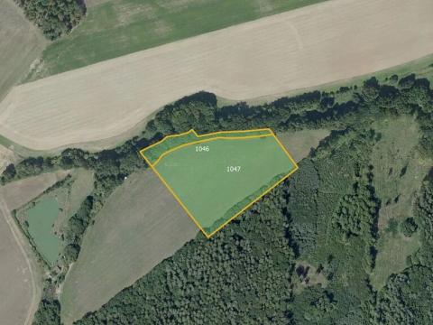 Prodej louky, Štíhlice, 22451 m2