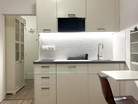 Pronájem bytu 1+kk, Brno, Libušino údolí, 17 m2