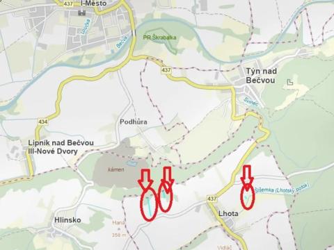 Prodej lesa, Lhota, 6286 m2