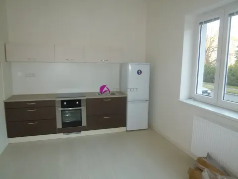 Pronájem bytu 1+1, Olomouc, Dobrovského, 46 m2