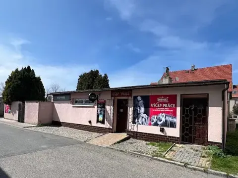 Prodej rodinného domu, Nové Strašecí, Křivoklátská, 120 m2