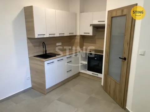 Pronájem bytu 1+1, Opava, Hviezdoslavova, 40 m2