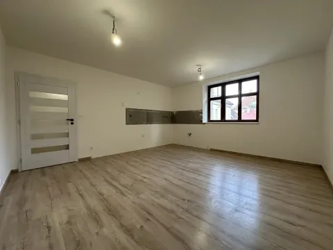 Prodej bytu 3+kk, Liberec, Americká, 66 m2