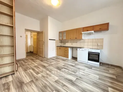 Pronájem bytu 2+1, České Budějovice - České Budějovice 3, J. Š. Baara, 55 m2