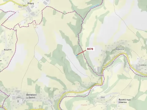 Dražba lesa, Benešov u Semil, 1110 m2