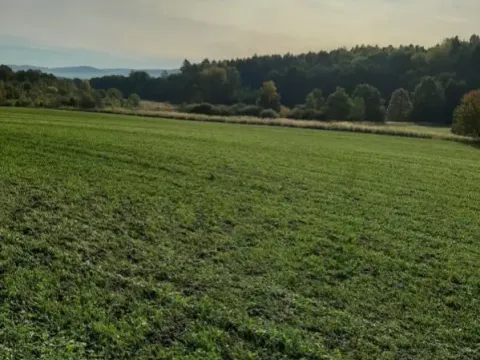 Prodej pole, Postupice - Čelivo, 12039 m2