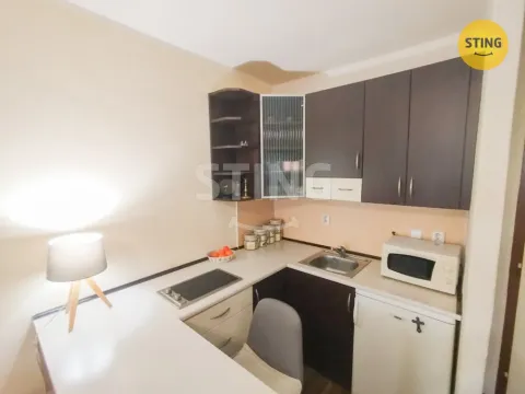 Prodej bytu 1+kk, Český Těšín, Okružní, 29 m2