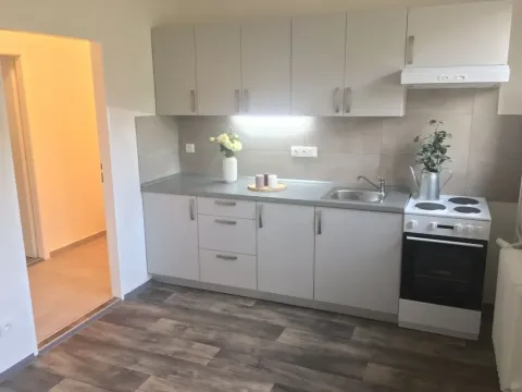 Pronájem bytu 2+1, Ostrava - Hrabůvka, Mitušova, 55 m2