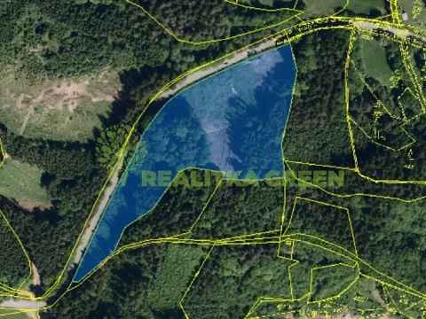 Prodej lesa, Zlín, 26699 m2