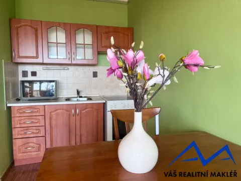 Prodej bytu 1+kk, Bohumín, Svat. Čecha, 28 m2
