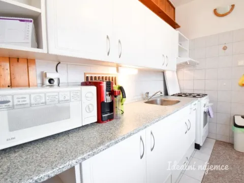 Pronájem bytu 2+1, Brno - Staré Brno, Křídlovická, 53 m2