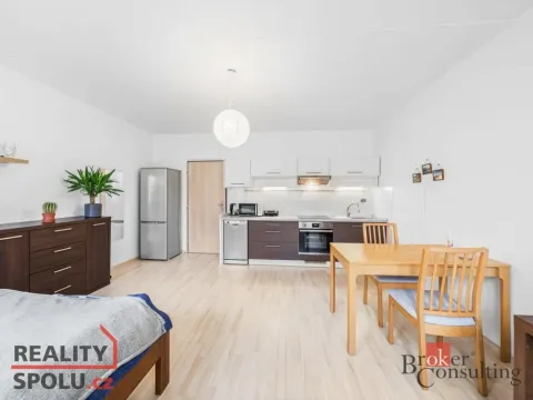 Prodej bytu 1+kk, Plzeň - Bolevec, Krašovská, 33 m2