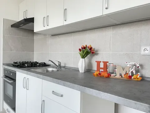 Pronájem bytu 3+1, Litvínov, Valdštejnská, 66 m2