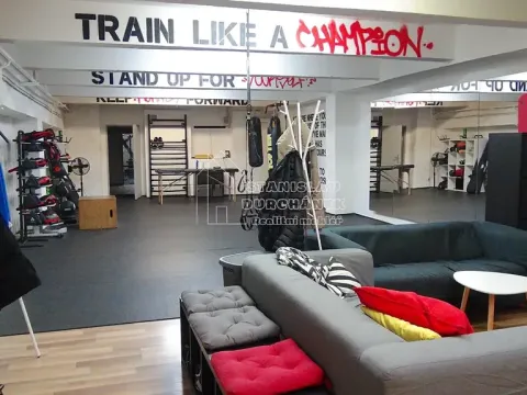 Pronájem komerční nemovitosti, Praha - Karlín, Pernerova, 358 m2