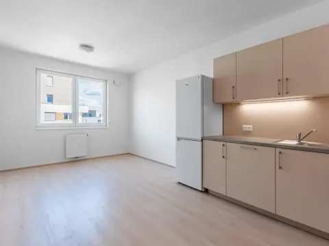 Pronájem bytu 1+kk, Praha - Vysočany, Svatošových, 32 m2
