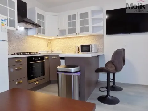 Pronájem bytu 2+1, Teplice, U Hadích lázní, 53 m2