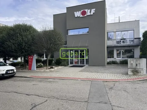 Pronájem kanceláře, Brno, Kořenského, 130 m2