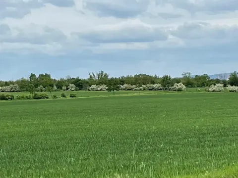 Prodej pole, Brno, 11752 m2