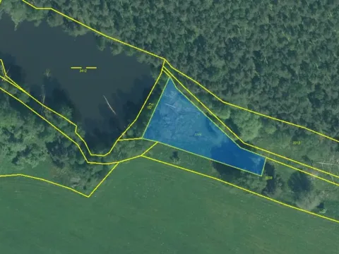 Prodej lesa, Rozvadov - Nové Domky, 5912 m2