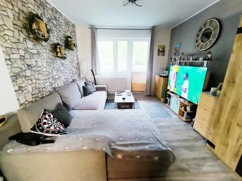 Pronájem bytu 1+kk, Ústí nad Labem, Baráčnická, 33 m2