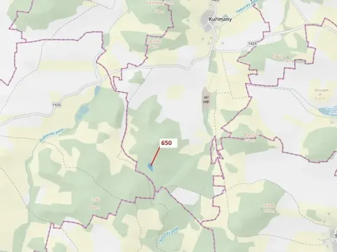 Dražba lesa, Kuřimany, 3688 m2