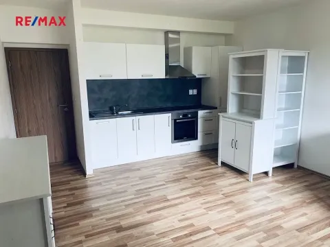 Pronájem bytu 2+kk, Plzeň, U Velkého rybníka, 52 m2