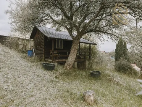 Prodej chaty, Děčín - Děčín VI-Letná, 544 m2